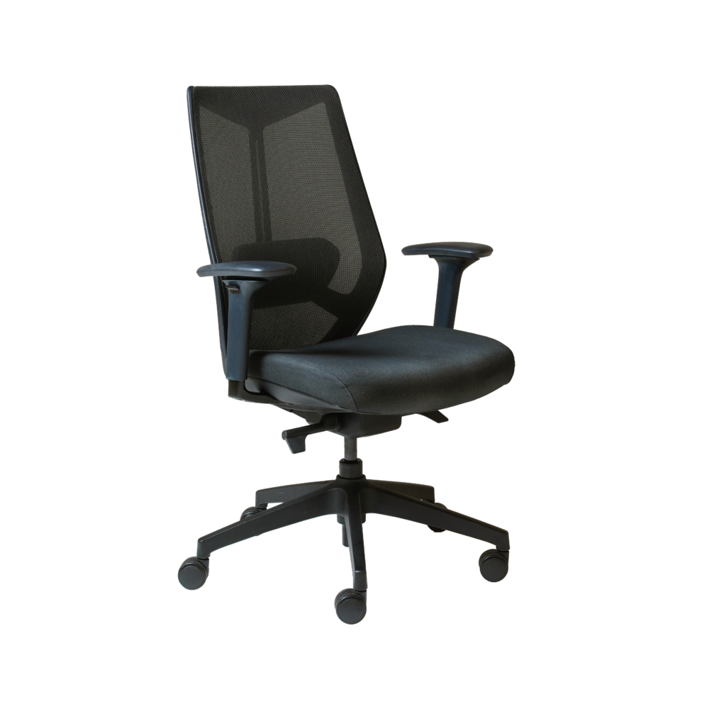 Ark Task Chair