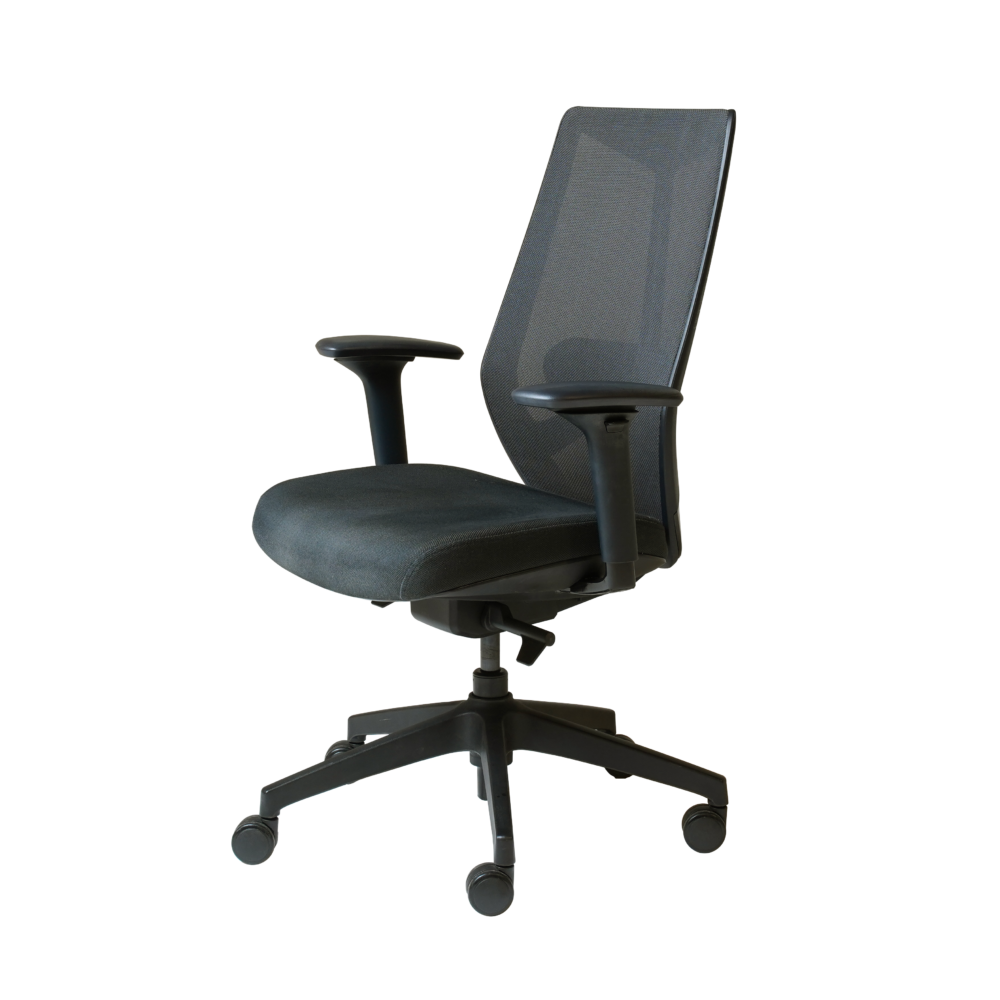 Ark Task Chair