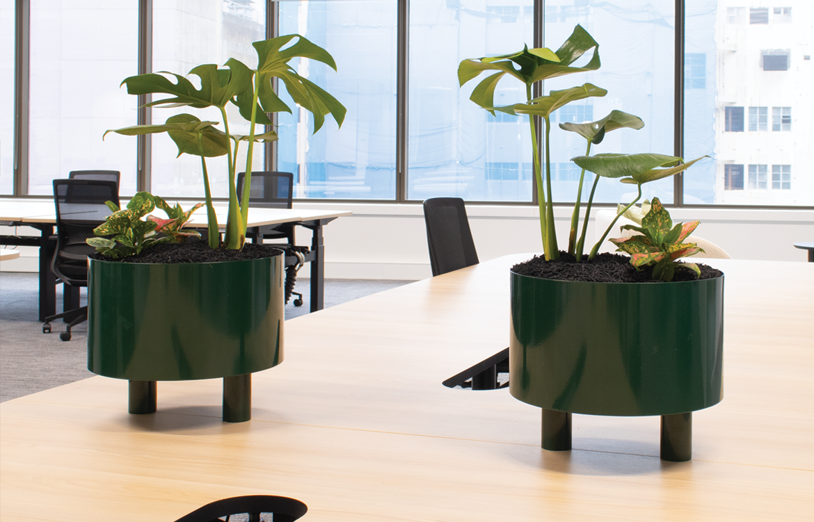 FATI Tabletop Planter