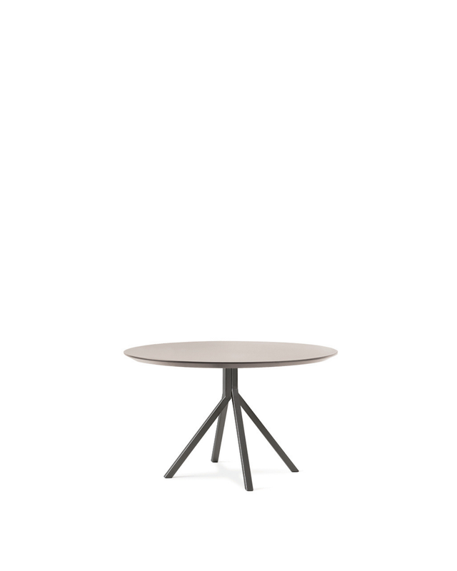 Grapevine Table