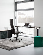 MOVE desks