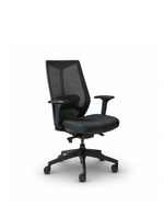 Ark Task Chair