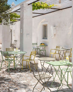 Flower Folding Chair