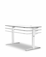 MOVE Desks