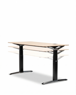 MOVE Desks
