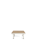 Seeds Coffee Table