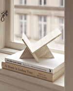 Mountain Paperweight