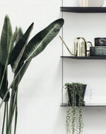 Stedge Shelf (60 cm) | Black (3 Shelves)