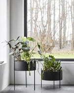 Pidestall Planter (Medium) in black painted metal — soft, earthy indoor planter with clean design