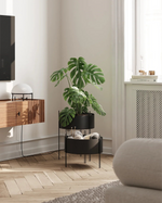 Pidestall Planter (Medium Black) styled with greenery in modern interior décor