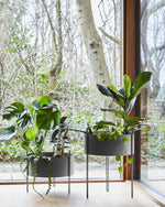 Pidestall Planter (Medium) in taupe painted metal — soft, earthy indoor planter with clean design