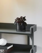 Profile shot of black metal Pidestall Planter, showing rounded shape and matte finish