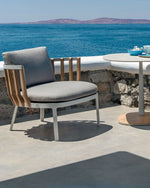 Swing Club Armchair